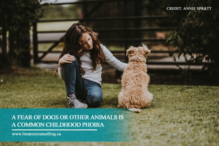 A fear of dogs or other animals is a common childhood phobia