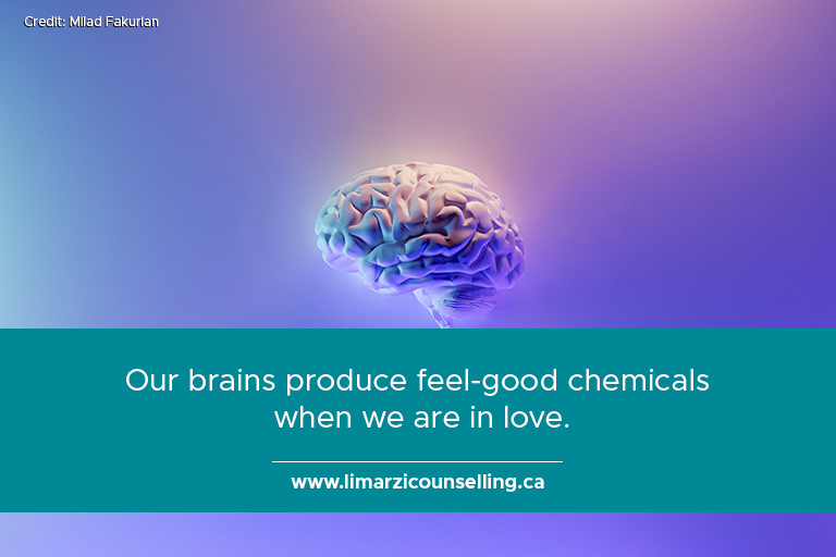 Our brains produce feel-good chemicals when we are in love.
